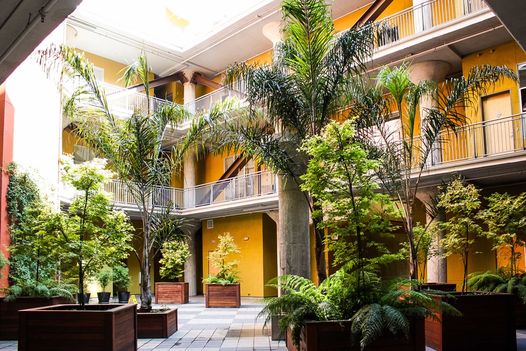 Common Area Courtyard